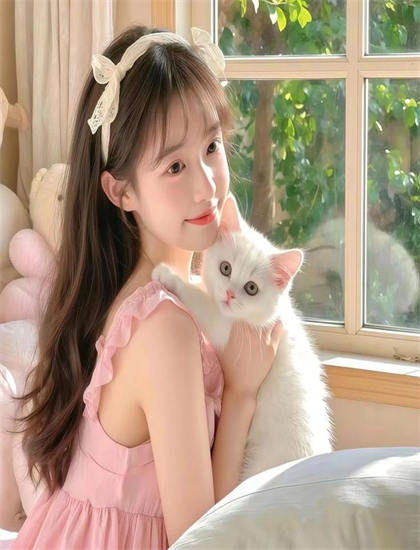 代号Qualidea大结局深度解读：人物结局与主题升华全面分析